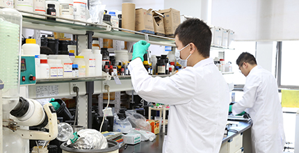 GA黄金甲·(中国区)官方网站