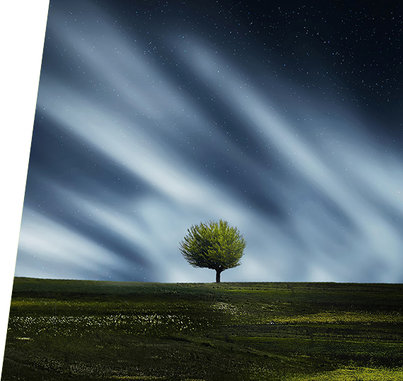 GA黄金甲·(中国区)官方网站